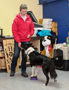 87353034_2818616384884351_5312430445533593600_o