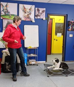 87426059_2818613881551268_7448726605670645760_o