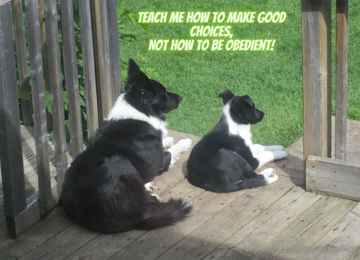 Life Skills Classes and Workshops