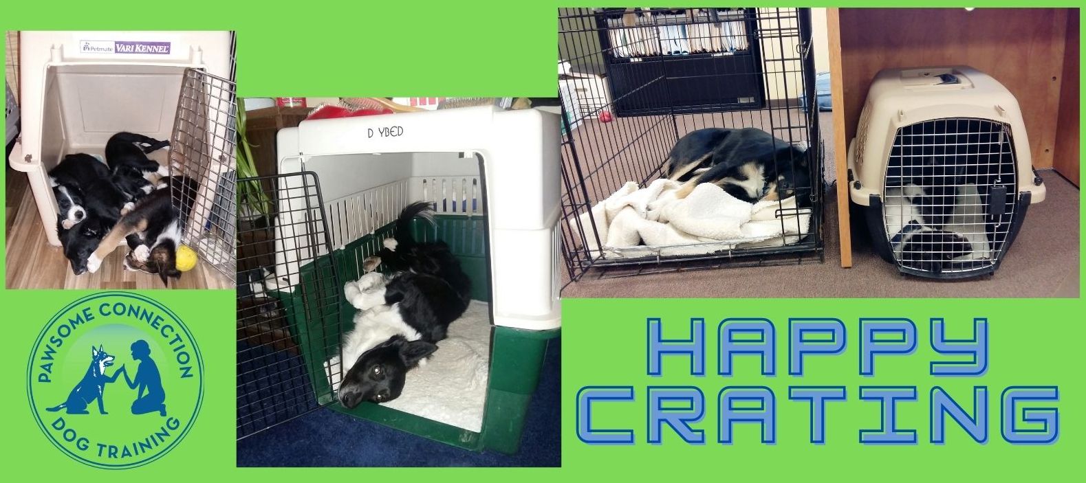 View of Happy Crating Course - Pawsome Connection Dog Training & Behavior
