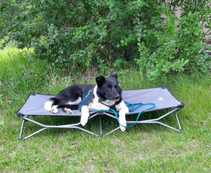 Djin on boundary during class